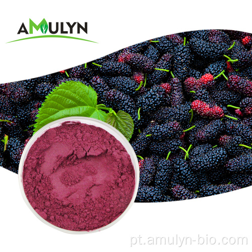 Pó de MulBerry roxo seco com extrato de frutas